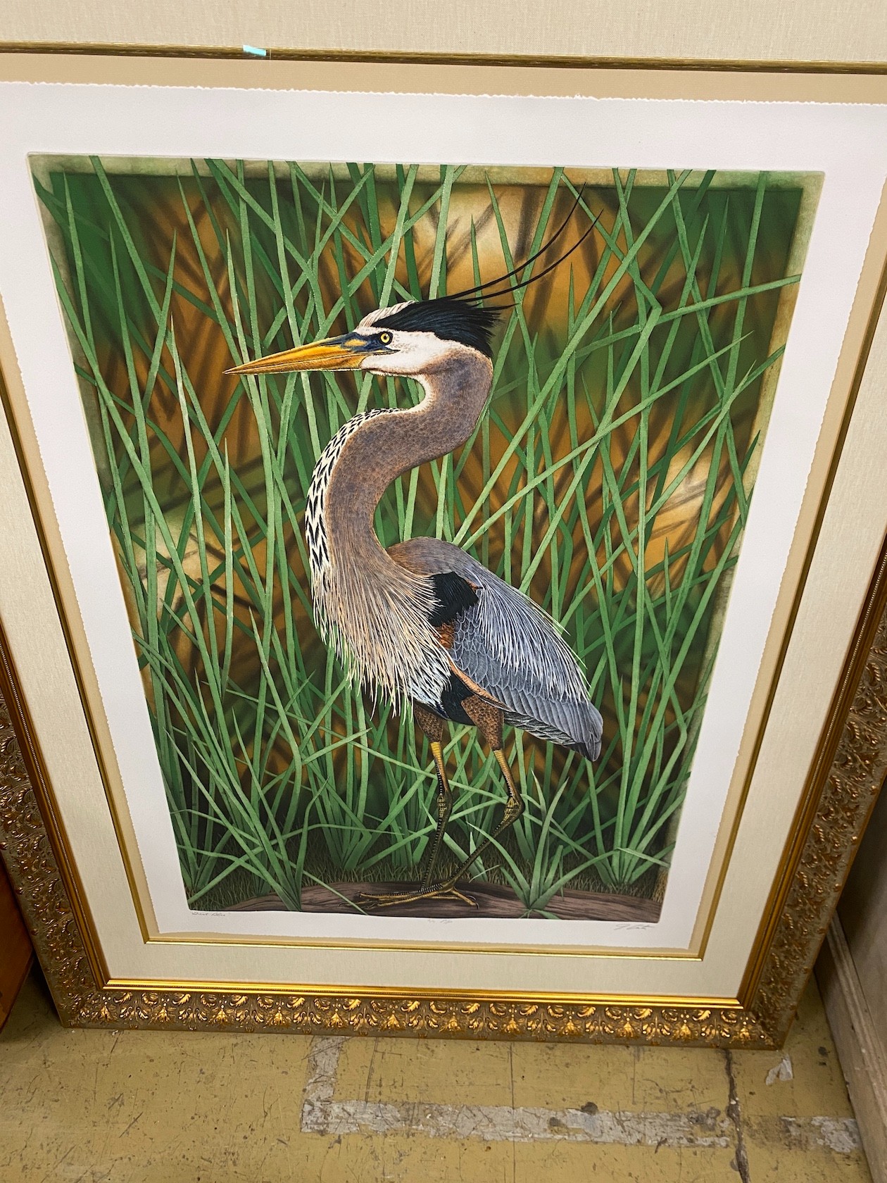 A Costin graphics coloured print of a heron, signed and numbered, width 113cm, height 148cm, including frame